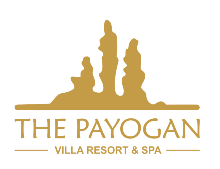 client-the-payogan